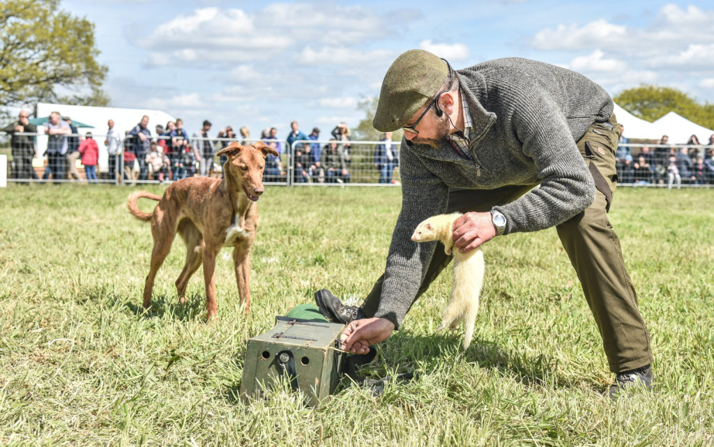 Countryside Arena Living Heritage Cheshire Game and Country Fair